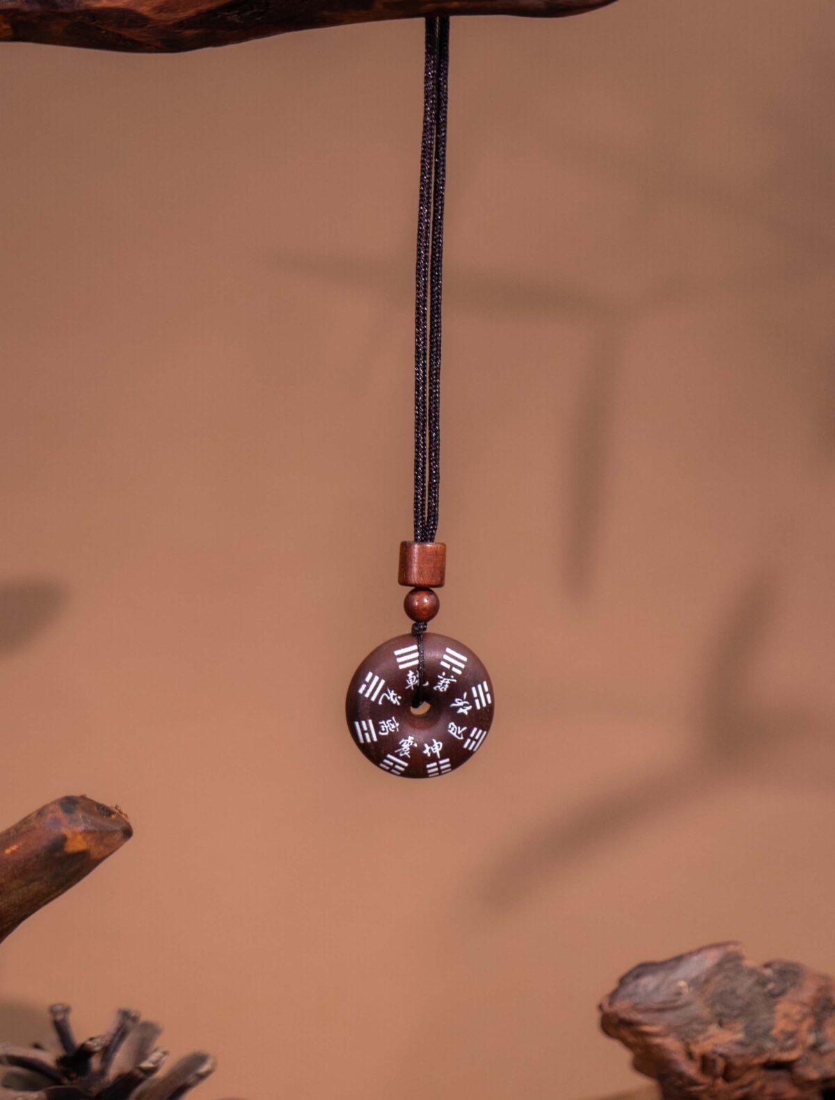 Nature & Tao ShanGui Bagua Amulet – Thunder-Struck Jujube Wood Peace Pendant with Exorcism Inscription & Eight Trigrams for Energy Alignment