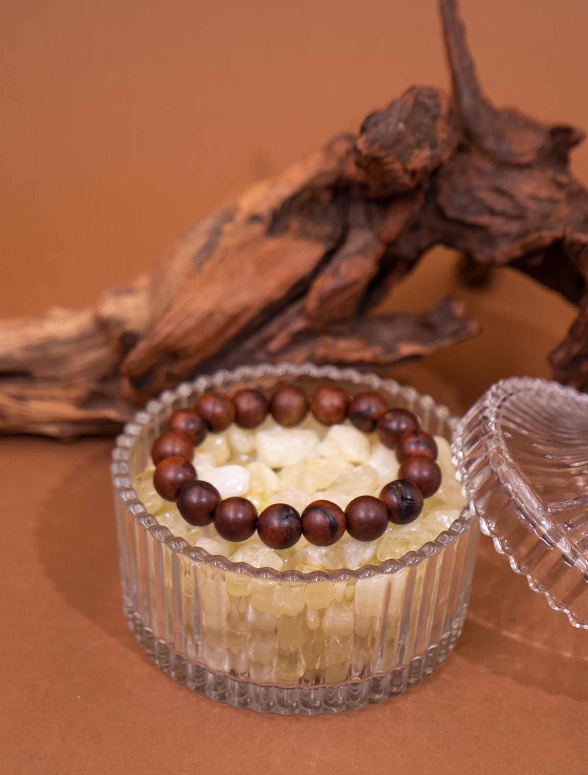Nature & Tao Citrine Cleansing Bowl – Natural Chips · Glass Vessel · Place Them In · Let Stillness Do the Rest